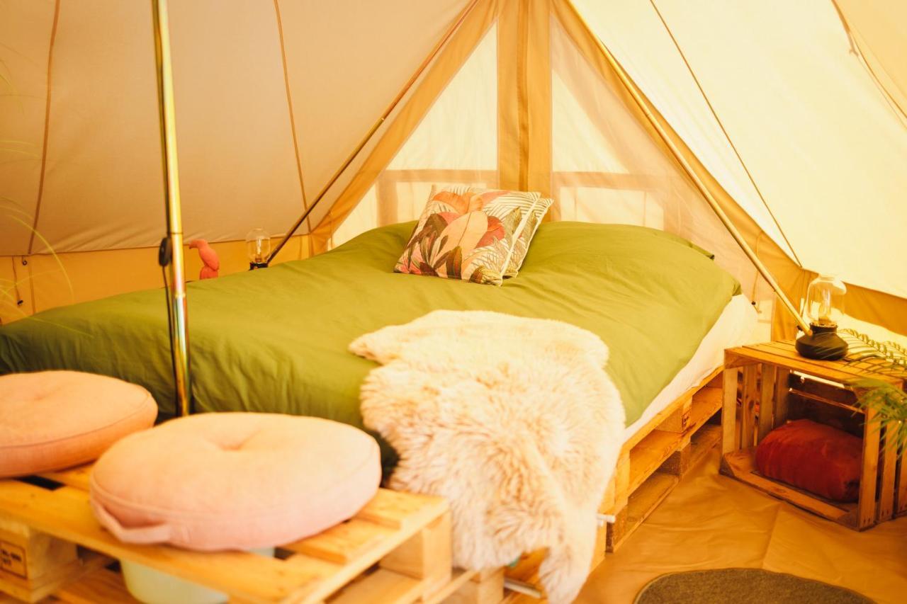 Wereldse Bell Tenten Met Alpaca'S Paasloo Exterior photo