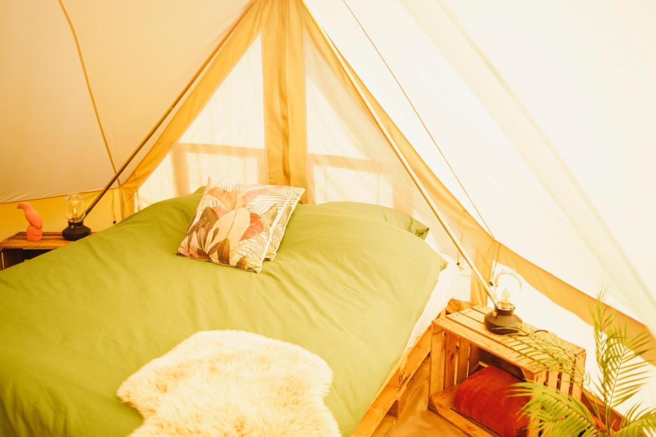 Wereldse Bell Tenten Met Alpaca'S Paasloo Exterior photo