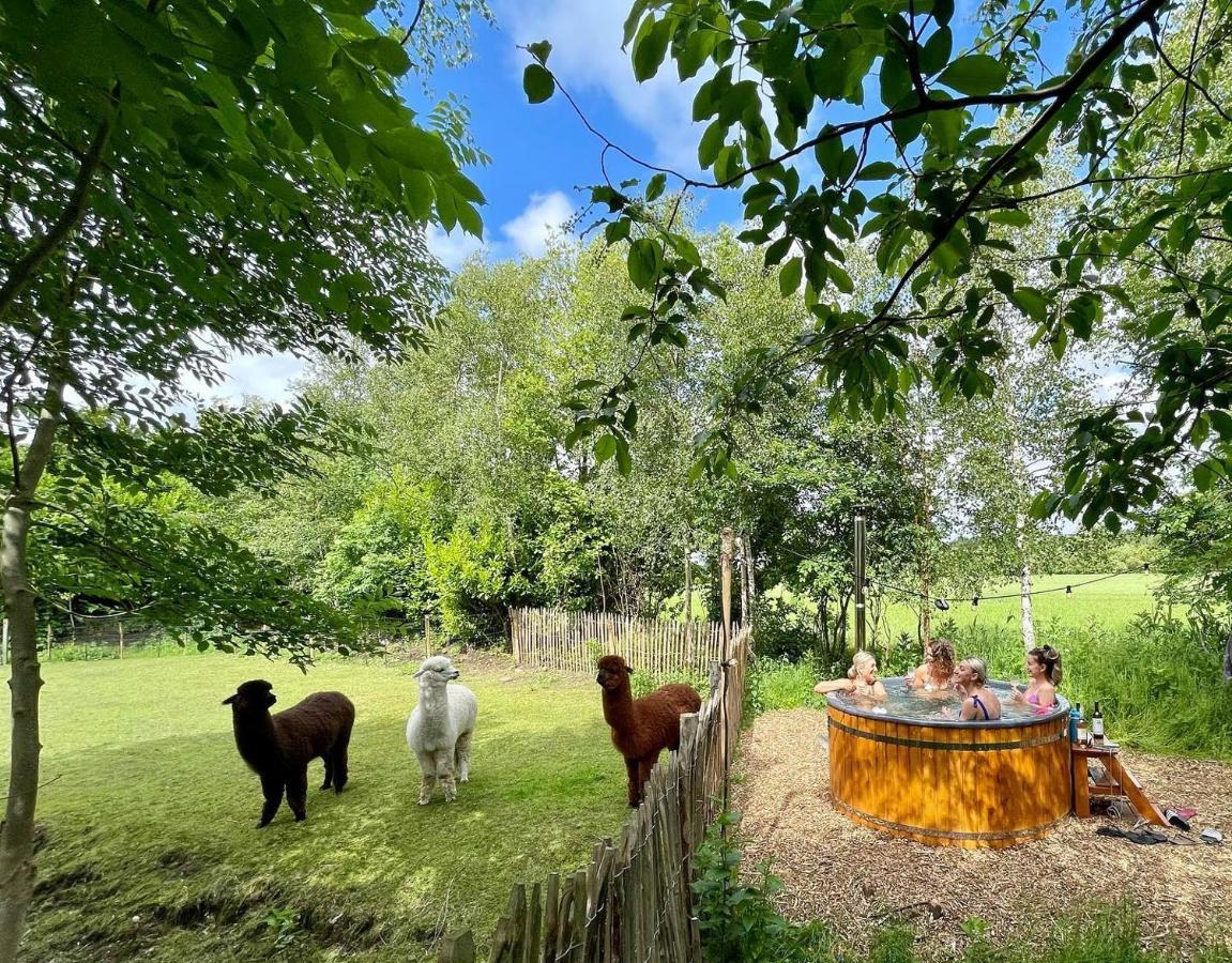 Wereldse Bell Tenten Met Alpaca'S Paasloo Exterior photo