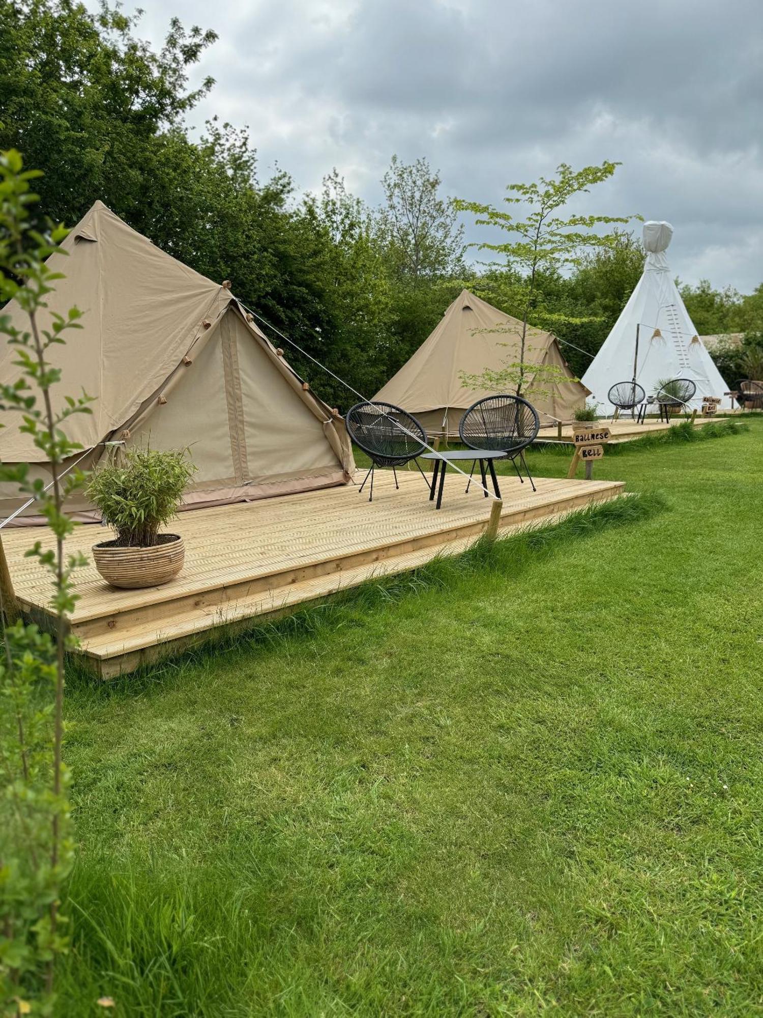 Wereldse Bell Tenten Met Alpaca'S Paasloo Exterior photo